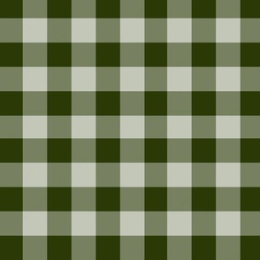 Classic gingham in shades of green
