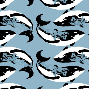 Orca Whales