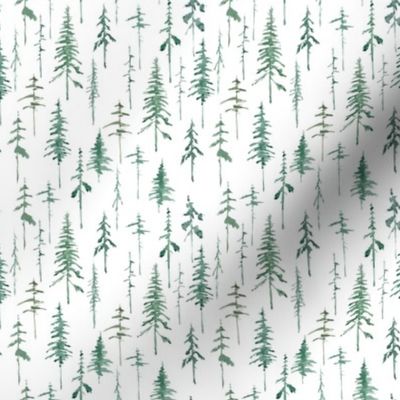 Pine Forest - White