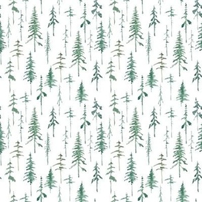 Pine Forest - White