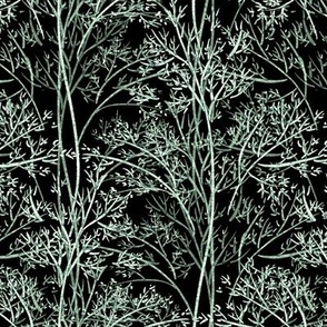 Forest stylization, Green trees on a black background