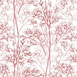 Forest stylization, Pink trees on a white background