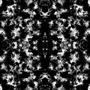 Black White Abstract - 