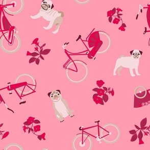bicyclefun in pink hues