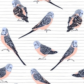 Parrots on hand drawn stripped background| white | Tropical Fantasy Collection