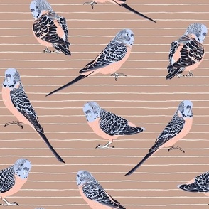Parrots on hand drawn stripped background| caramel | Tropical Fantasy Collection