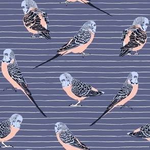 Parrots on hand drawn stripped background| blue | Tropical Fantasy Collection