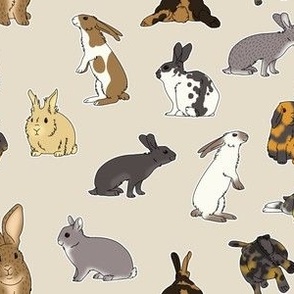 rabbit pattern beige plain