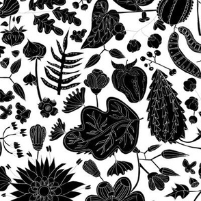 Strange Botany in black and white