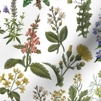 18" antique hand painted herbs pharmaceutic and medicinal plants on white background-for home decor Baby Girl  and  nursery fabric perfect for kidsroom wallpaper,kids room
