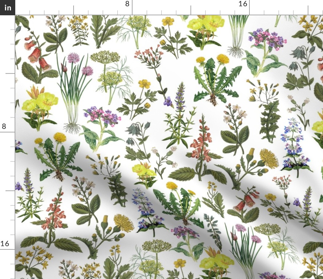 18" antique hand painted herbs pharmaceutic and medicinal plants on white background-for home decor Baby Girl  and  nursery fabric perfect for kidsroom wallpaper,kids room