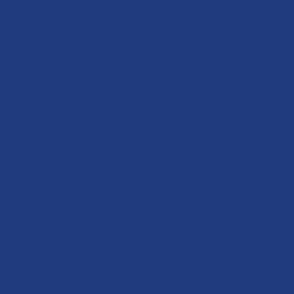 Solid plain color blue pantone 19-3952 tcx hexcode 203c7f