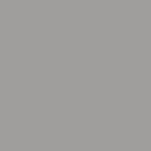 Solid plain color middle grey pantone 16-4402 tcx hexcode a09e9c
