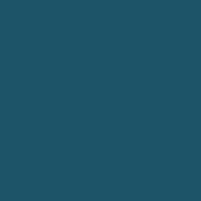 Solid plain color blue pantone 19-4526 tcx hexcode 1c5366