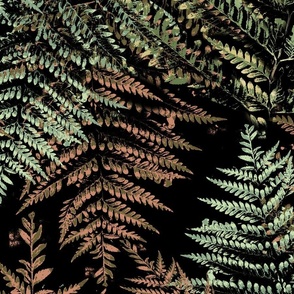 Midnight in Fern Forest-copper and olive