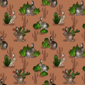 Jackrabbits and Cacti 