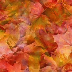 Fall Leaves - Fall Fire