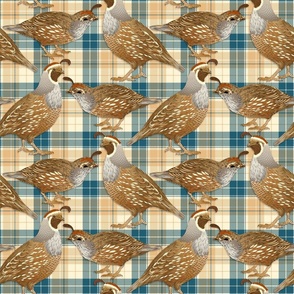 California Quail Dark Teal Plaid