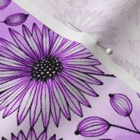 Diagonal Daisies--Purples