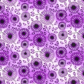 Diagonal Daisies--Purples