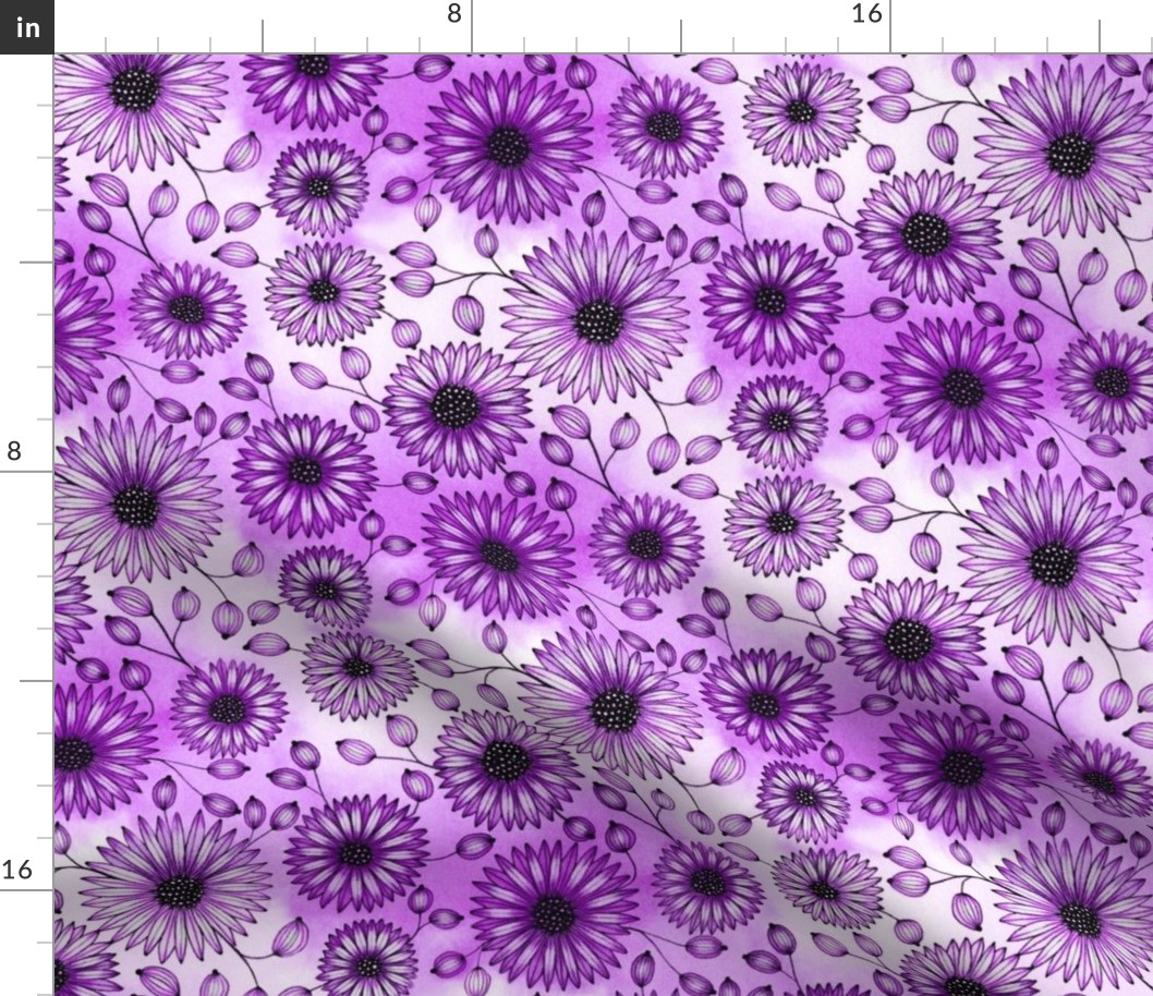 Diagonal Daisies--Purples