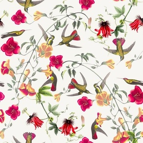 Vintage Mango Hummingbirds And Passionflowers by John James Audubon, Nostalgic Bird Fabric, Antique Hummingbird Wallpaper - off white