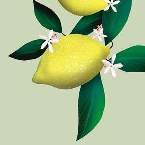 Lemon love