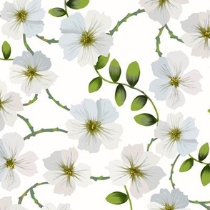 [Medium] 2in White delicate Flowers on White
