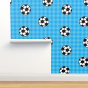 sky blue soccer balls