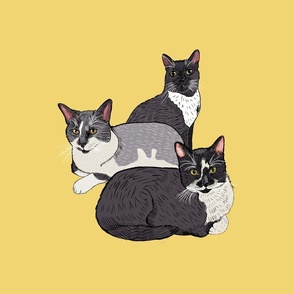 Custom Pet Portrait- Cats on Banana Yellow