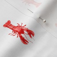 Red Lobsters on White