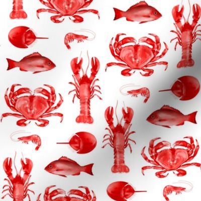 Red Crustaceans on White