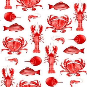 Red Crustaceans on White