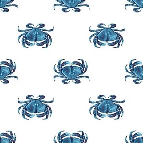 Indigo Blue Dungeness Crabs on White