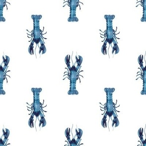 Indigo Blue Lobster on White