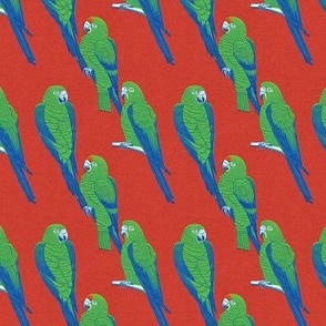 Green Parrots on Red