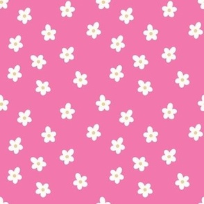 Daisies on Pink 4x4
