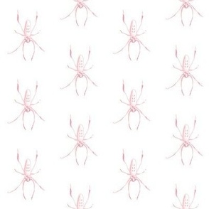 Pink Hanging Spider - small