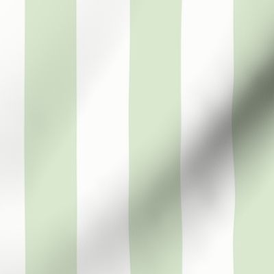 1.5" Vertical Stripe: Mossy Green Basic Stripe, Light Green Stripe