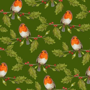 Christmas Robin and Holly Branch on Forest Green | Medium Scale