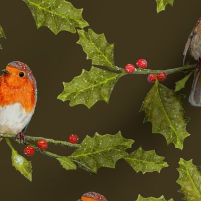 Christmas Robin and Holly Branch on on Sacramento Green | Medium Scale