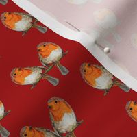 Christmas Robin on Burnt Red | Small Scale