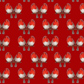 Christmas Robin on Burnt Red | Large Scale