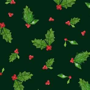 Christmas Holly and Berries on Sacramento Green | Large Scale