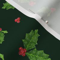 Christmas Holly and Berries on Sacramento Green | Small Scale