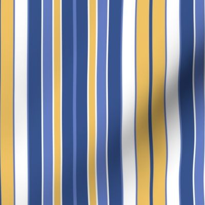  Eccentric Awning Stripe In Yellow and Blues