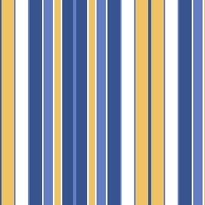  Eccentric Awning Stripe In Yellow and Blues