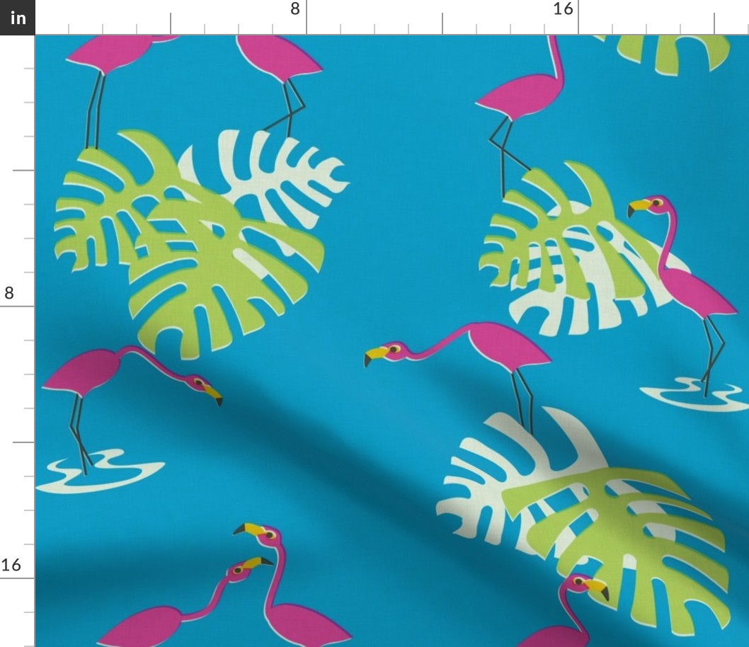 flamingos