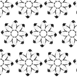 Penguins, black and white in a circular pattern