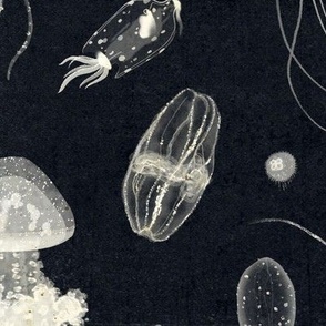 Jellyfish - white on midnight (large)
